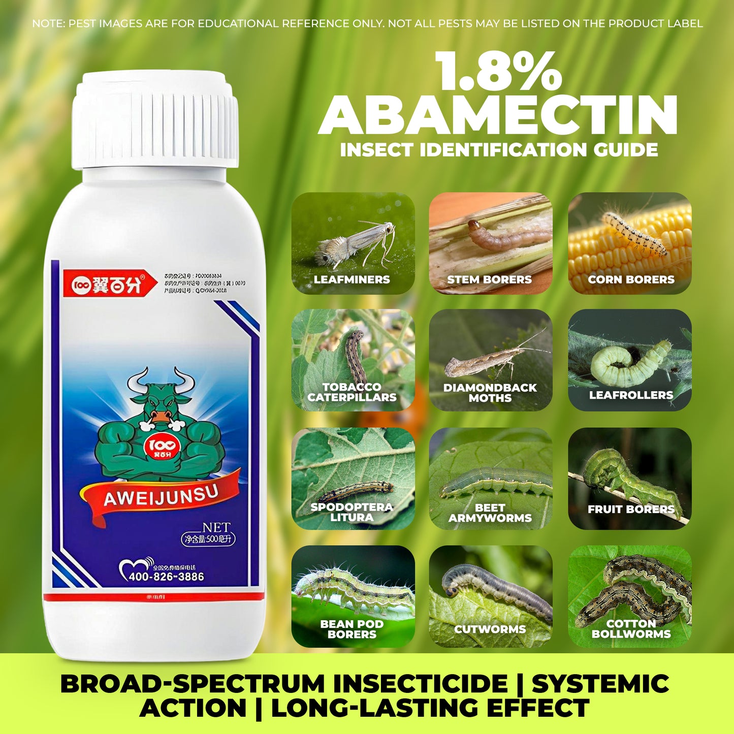 Formule avancée de gestion des insectes à base d'émulsion d'abamectine 1,8 % pour légumes, fruits et plantes