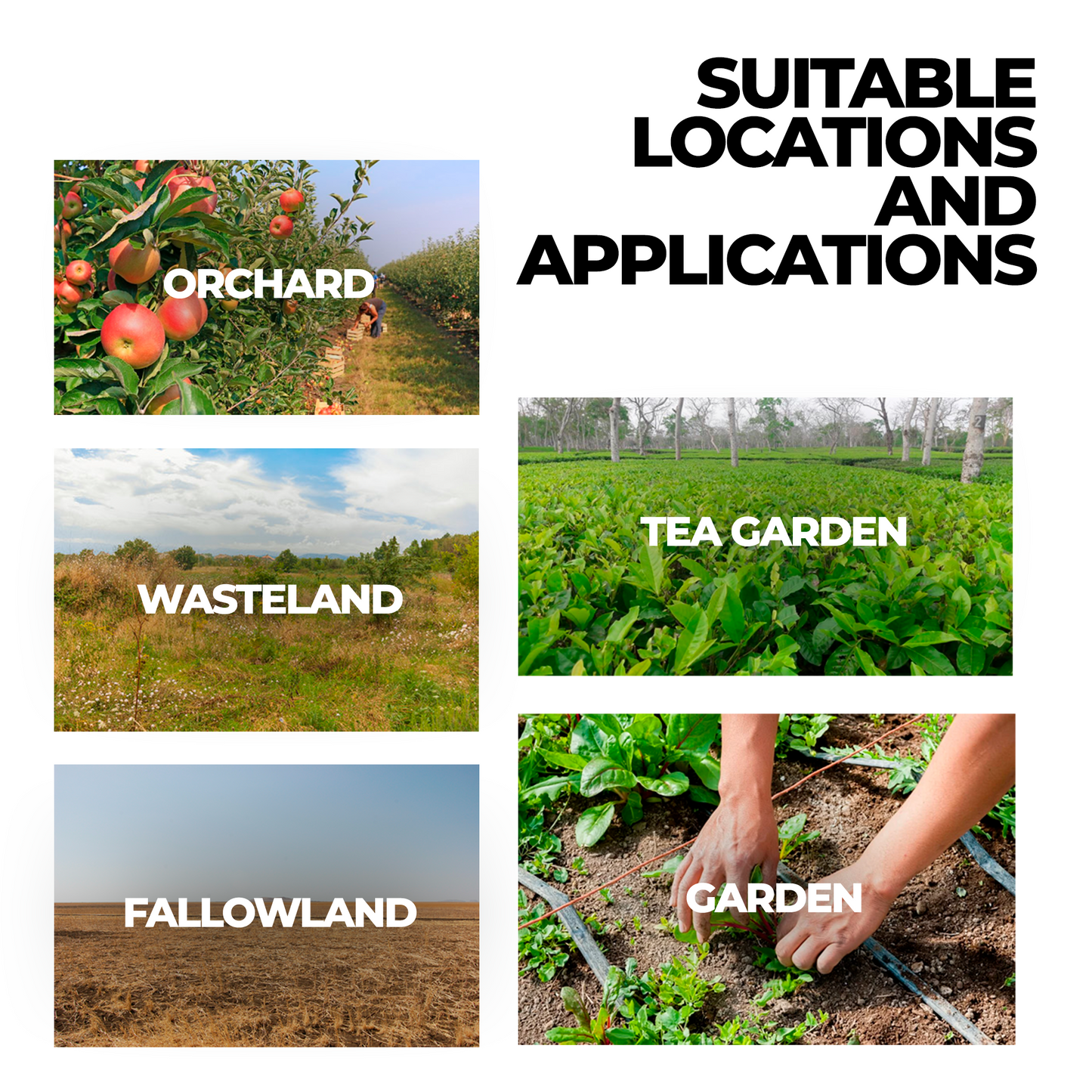 Glyphosate Herbicide with High-Concentration, Weed Killer