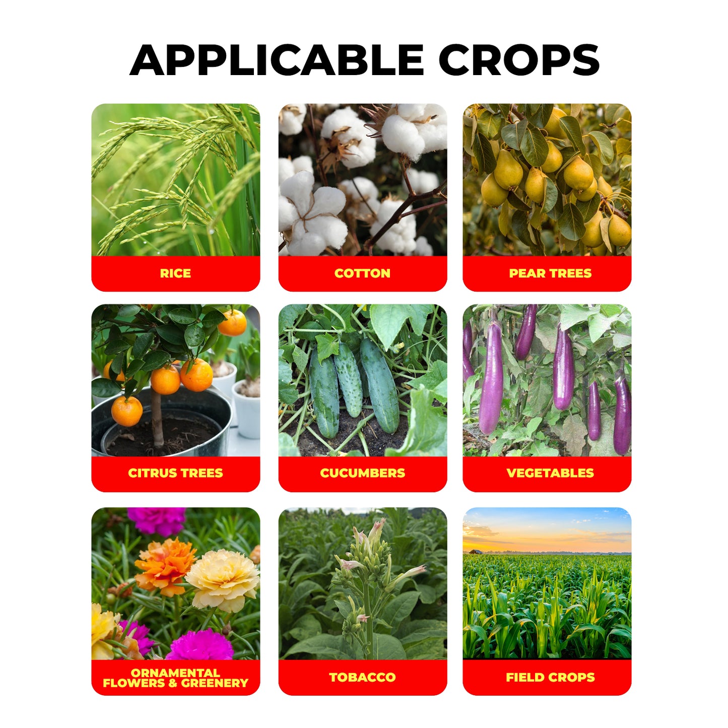Formule avancée de gestion des insectes à base d'émulsion d'abamectine 1,8 % pour légumes, fruits et plantes