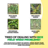 Glyphosate Herbicide Weed Killer