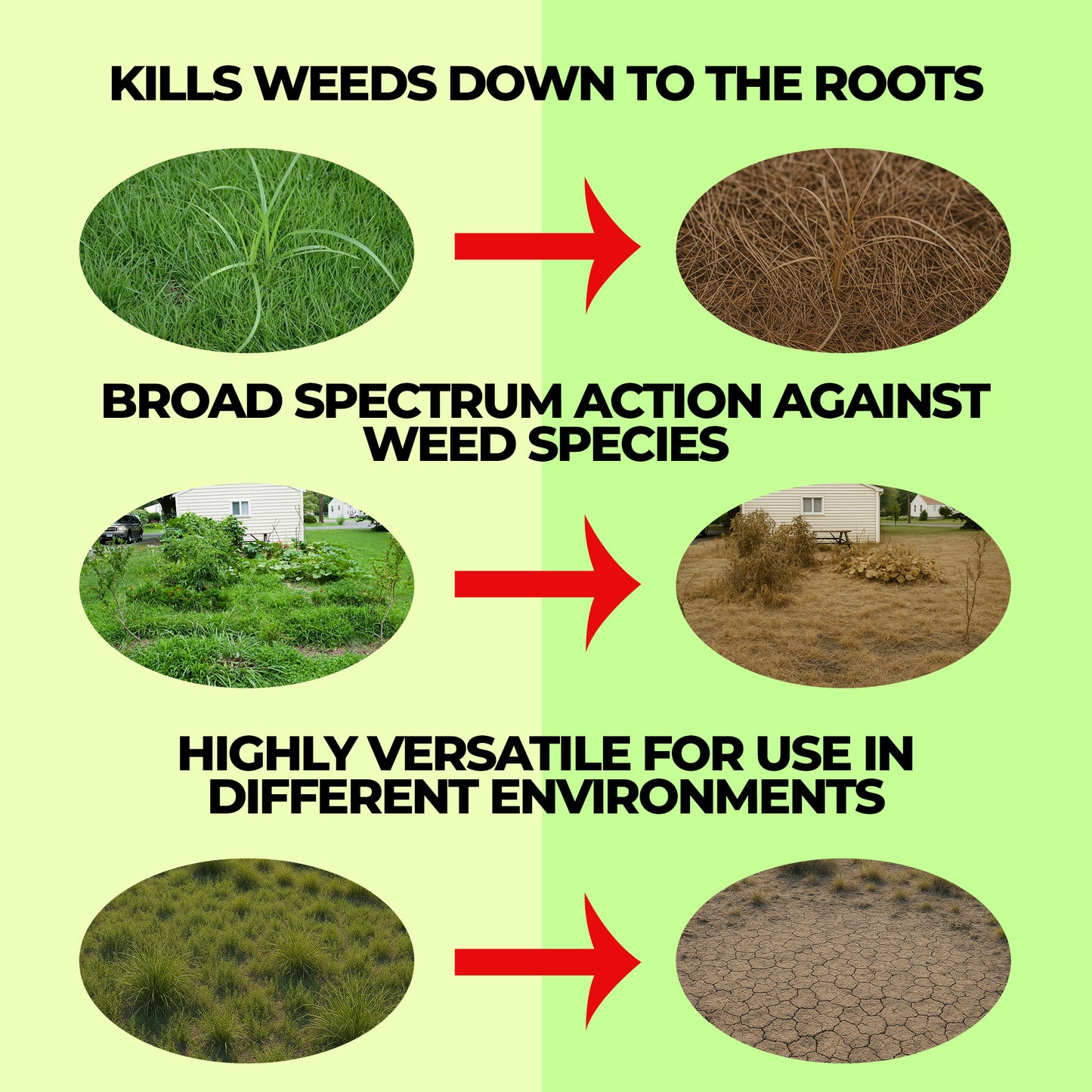 41% Glyphosate Weed Killer Concentrate, Powerful Grass & Weed Control for Land Clearing