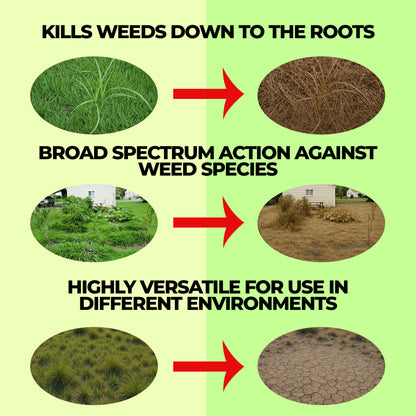 41% Glyphosate Weed Killer Concentrate, Powerful Grass & Weed Control for Land Clearing